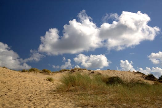 Dunes