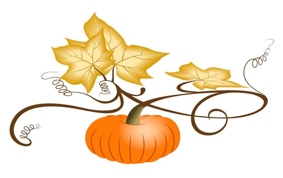 Autumn Pumpkin