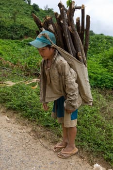 Child transporting firewood,Laos
