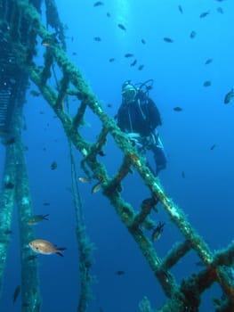 Wreck Diver