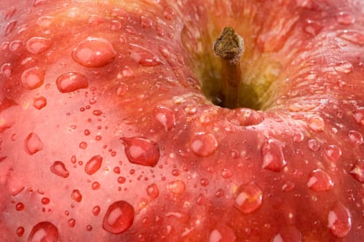 Macro apple red with drops of water