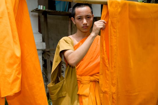 Buddhist monk,Luang Prabang