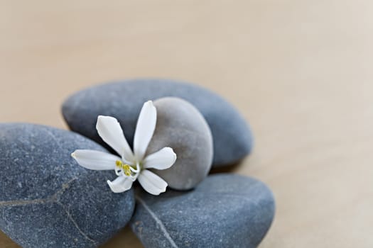 Pebble