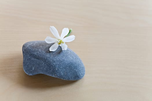 Pebble