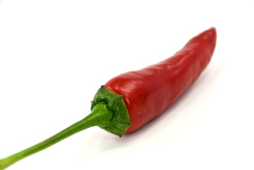 chilli
