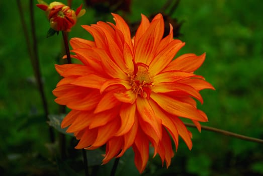Aztec Sun