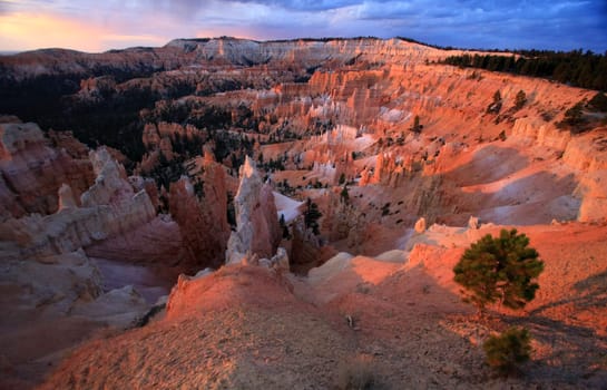 Bryce Canyon 007