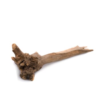 Burl wood