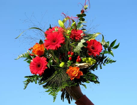 Bouquet of flowers with blue background