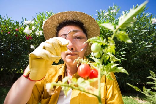 gardening