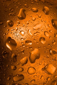 Orange Drops