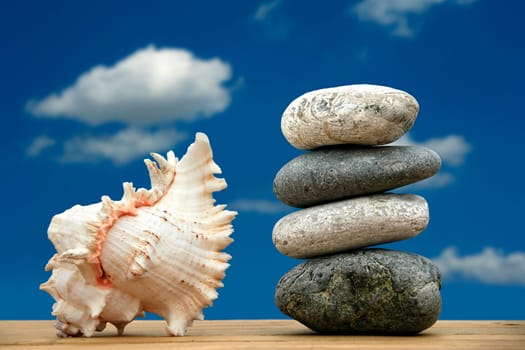 pile of pebble stones and a seashell