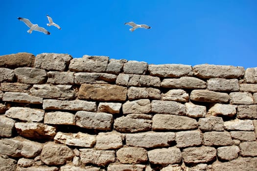 solid rock wall and seagulls