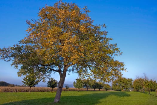 A beautiful autumn Sunday