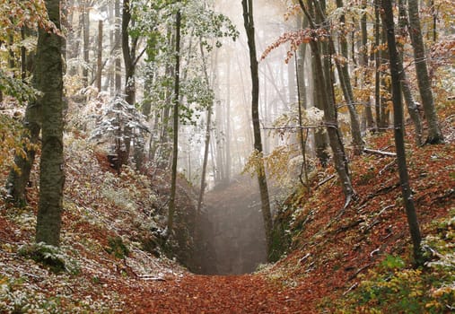 Swabian Alb south of Reutlingen,Baden-Württemberg