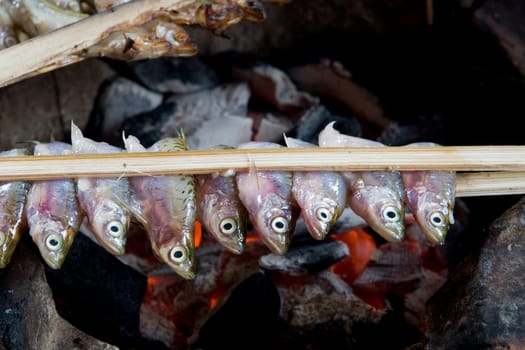 Grilling fish with charcoal