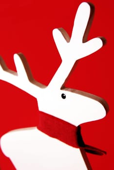 Reindeer