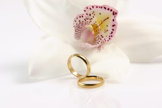 wedding rings