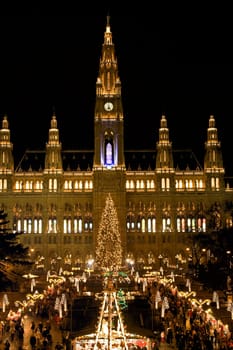 Christmas Market in Vienna,City Hall