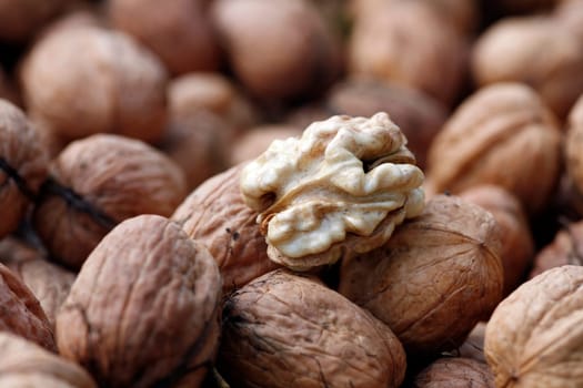 Walnut harvest