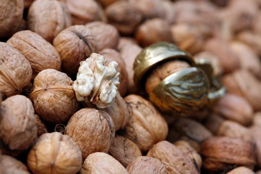 Walnut harvest