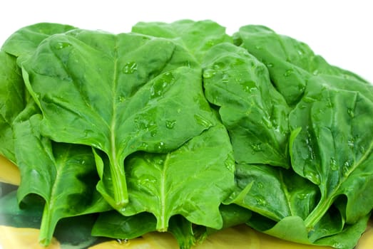 spinach