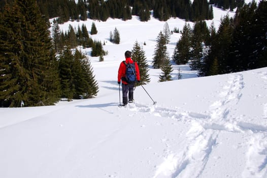 Snow hike 7881