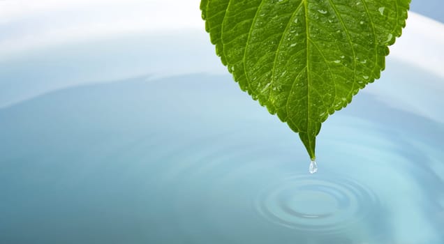 waterdrop with leaf