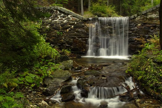 forest waterfal