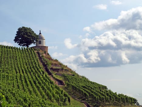 Jacobstein in Radebeul