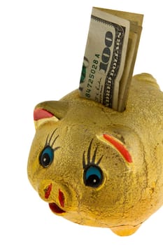 Golden piggy bank with 100 dollars