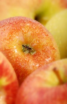 Apples without (New York)