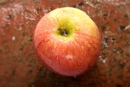 Apple on brick