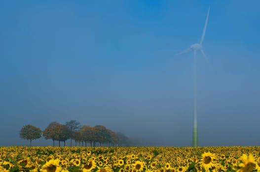 Renewable energy