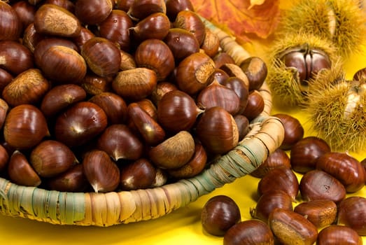 Edible chestnuts in basket