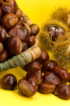 Edible chestnuts in basket