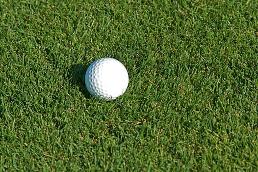 Golf Course
