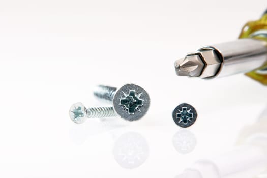 screw and driver on white