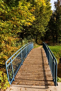 Forest in autumn with bridge
