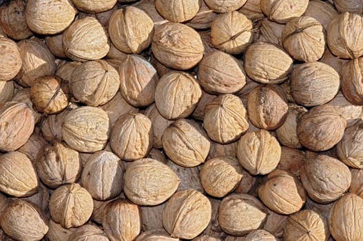 walnuts