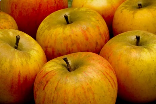 Apples without (New York)