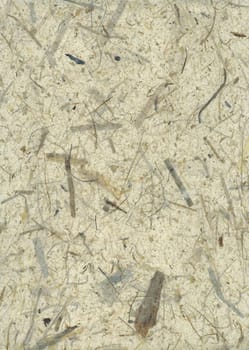 handmade paper with remains of plants
