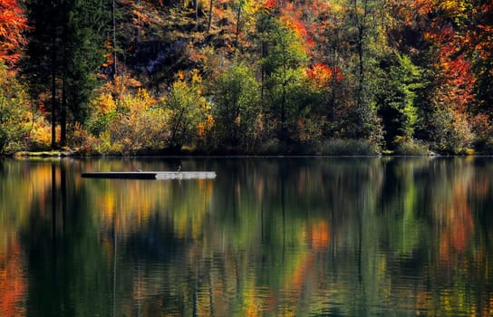 Autumn reflection