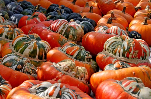Heralds of Autumn