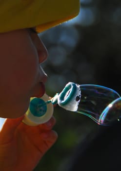 Soap Bubble 6252