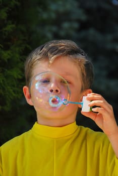 Soap Bubble 6267