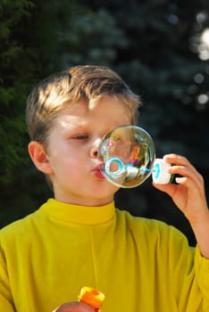 Soap Bubble 6272