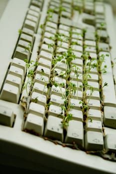 Green IT