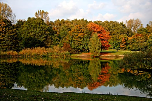 Autumn colors in sunlight