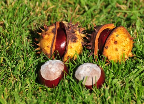 Autumn...
